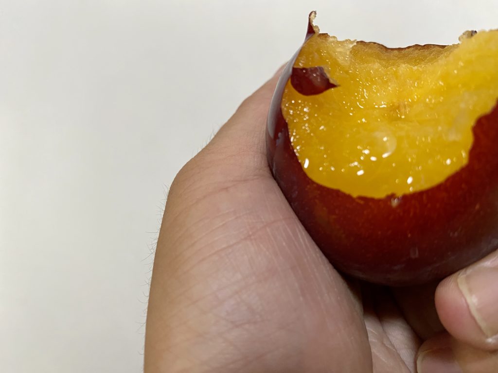大地を守る会　プラム　美味しい